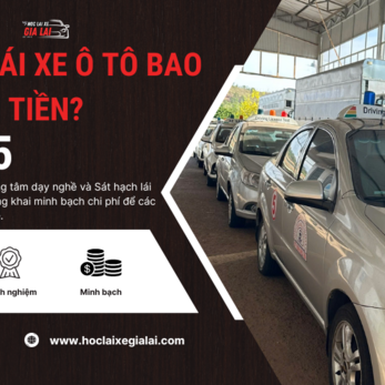 Học lái xe ô tô bao nhiêu tiền, giá học bằng lái xe ô tô hạng B và C năm 2025